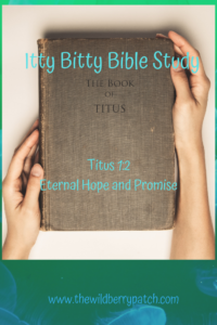 Itty Bitty Bible Study Titus 1 verse 2