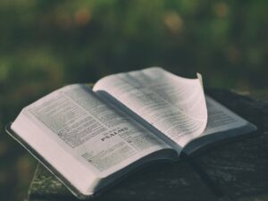 Bible open to Psalms