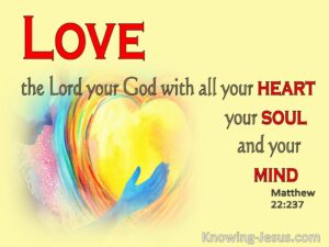 Love the Lord your God with all your heart, with all your soul and with all your mind. Matthew 22