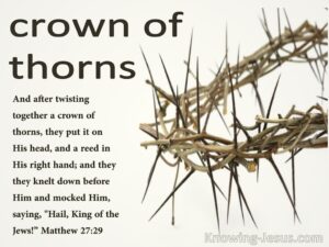 crown of thorns- they twisted together a crown of thorns and put it on his head, and m9kec him saying this is the King of the Jews