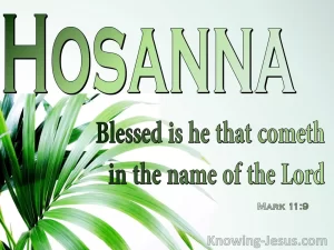 Hosanna, Blessed is he that comes in the name of the Lord