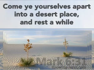 Come ye yourselves into a desert place, and rest awhile.