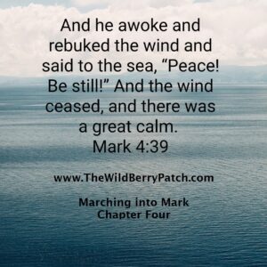 And he awoke and rebuked the wind and said to the sea, "Peace! Be Still" and the wind ceased, and there was a great calm. Mark 4:39