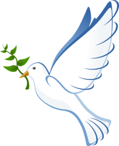 white dove with an olive branch in it's mouth